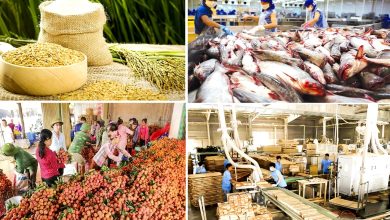 Nôn nóng thành công, doanh nghiệp khó ra “biển lớn” toàn cầu Nôn nóng thành công, doanh nghiệp khó ra “biển lớn” toàn cầu