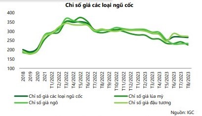 Doanh nghiệp ngành chăn nuôi vẫn chưa hết lao đao