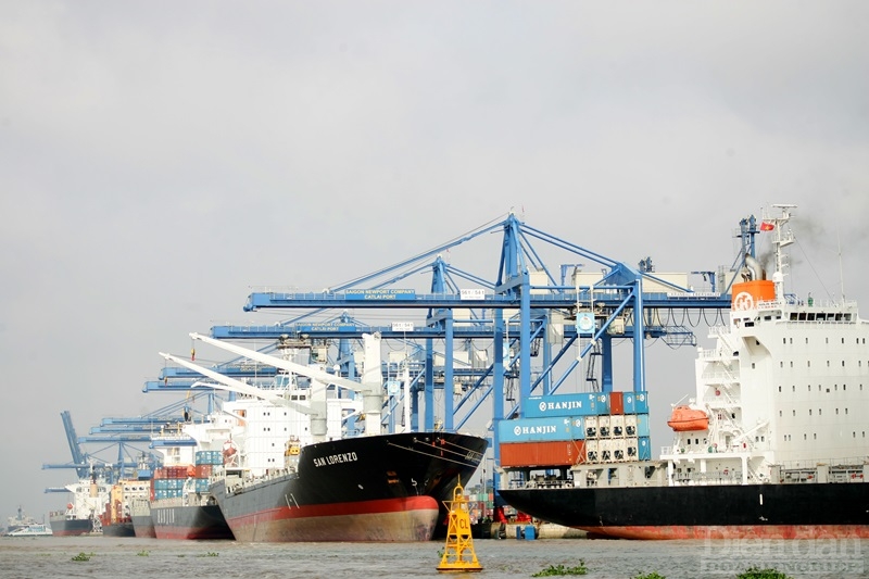 VCCI) vừa có văn bản trả lời công văn đề nghị góp ý Dự thảo Thông tư thay thế Thông tư số 54/2018/TT-BGTVT về biểu khung giá dịch vụ hoa tiêu, dịch vụ cầu, bến, phao neo, dịch vụ bốc dỡ container, dịch vụ lai dắt tại cảng biển Việt Nam - Ảnh minh họa