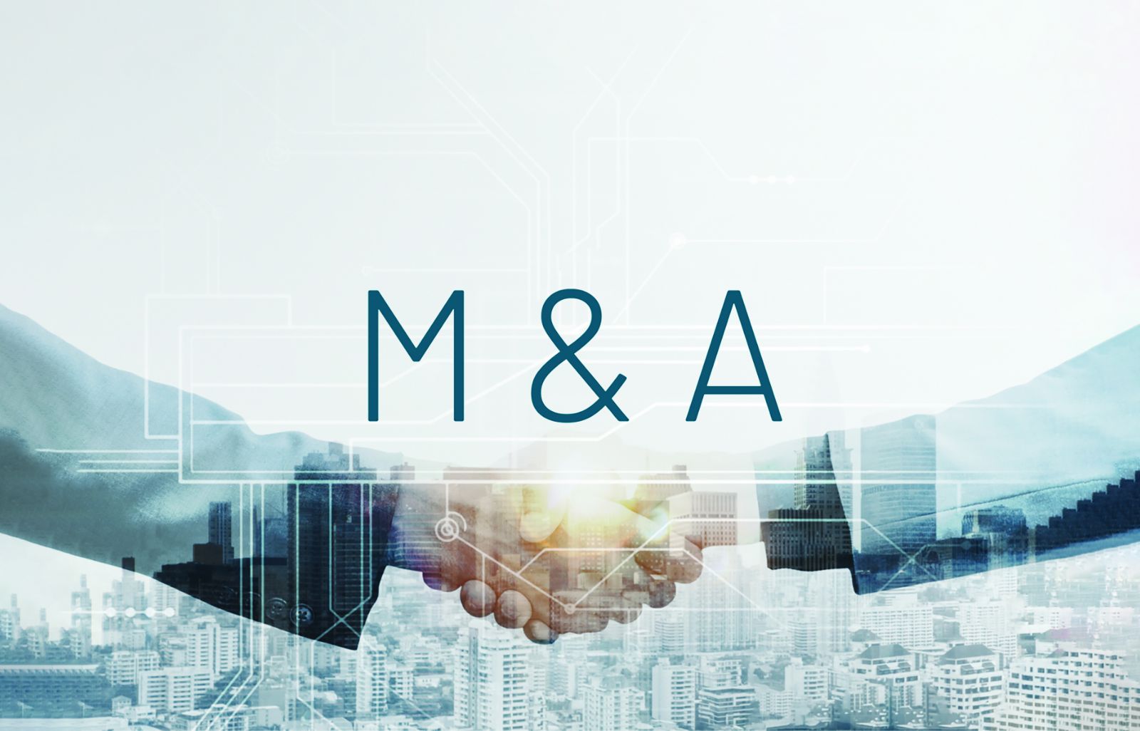 Chiếm thị phần bằng M&A Chiếm thị phần bằng M&A