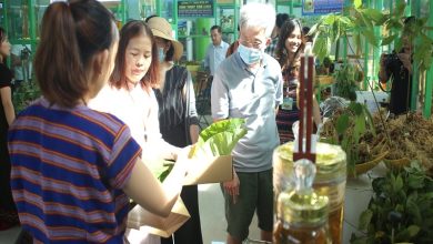 Quảng Nam đẩy mạnh sản phẩm du lịch gắn với chăm sóc sức khỏe Quảng Nam đẩy mạnh sản phẩm du lịch gắn với chăm sóc sức khỏe