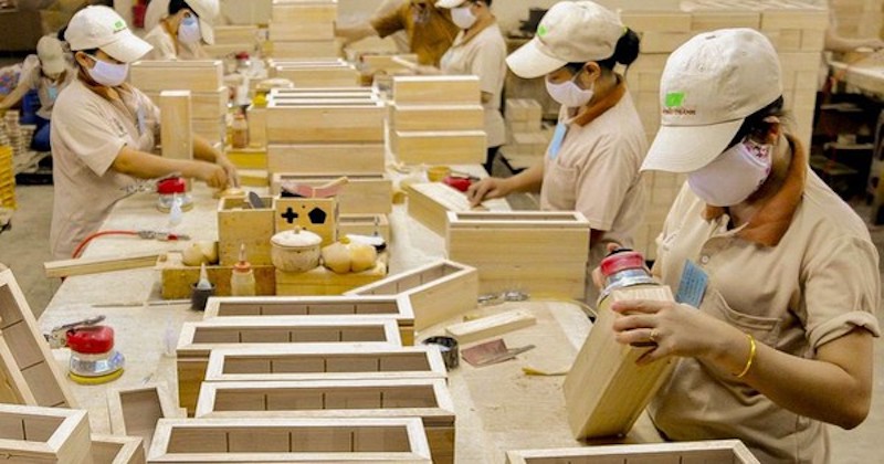 Minh bạch sản xuất lâm nghiệp - “visa” cho lâm sản vào EU Minh bạch sản xuất lâm nghiệp - “visa” cho lâm sản vào EU