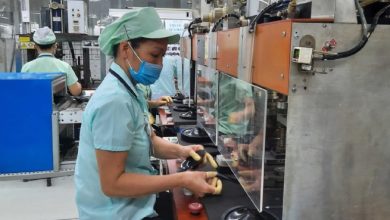 Tiếp tục đẩy mạnh thu hút đầu tư từ Nhật Bản