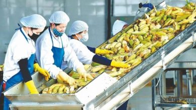 “Diễn đàn tăng cường liên kết vùng để đẩy mạnh tiêu thụ và xuất khẩu nông sản” tại Tp. Hồ Chí Minh ngày 8/12/2023 “Diễn đàn tăng cường liên kết vùng để đẩy mạnh tiêu thụ và xuất khẩu nông sản” tại Tp. Hồ Chí Minh ngày 8/12/2023