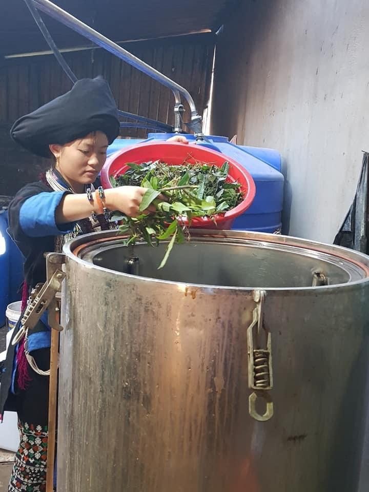 Giải pháp phát triển dược liệu theo chuỗi gắn với du lịch sinh thái