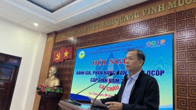 Đánh giá phân hạng Ocop Lai Châu