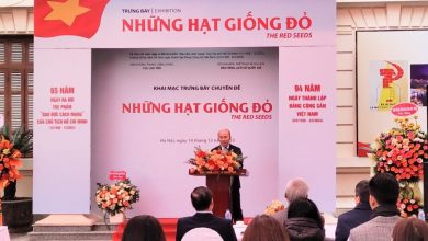 Trưng bày chuyên đề "Những hạt giống đỏ" tại Bảo tàng Lịch sử Quốc gia từ 19/12/2023