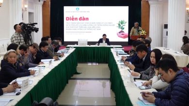 Diễn đàn phát triển hiệu quả, bền vững ngành hàng giống cây trồng Việt Nam Diễn đàn phát triển hiệu quả, bền vững ngành hàng giống cây trồng Việt Nam