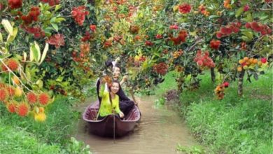 Ngày hội Đặc sản miền Tây 2024: Sự kiện Văn hóa – Du lịch - Ẩm thực được mong chờ nhất vào dịp nghỉ Tết Dương lịch 2024 tại Cần Thơ