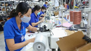 Doanh nghiệp gặp khó khăn khi “bơi xa” Doanh nghiệp gặp khó khăn khi “bơi xa”