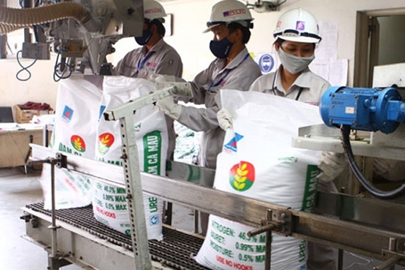Cân nhắc việc áp thuế VAT 5% với phân bón và vật tư nông nghiệp Cân nhắc việc áp thuế VAT 5% với phân bón và vật tư nông nghiệp
