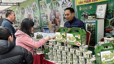 Hội chợ tiêu dùng xanh - sản phẩm an toàn thành phố Hà Nội năm 2023 Hội chợ tiêu dùng xanh - sản phẩm an toàn thành phố Hà Nội năm 2023