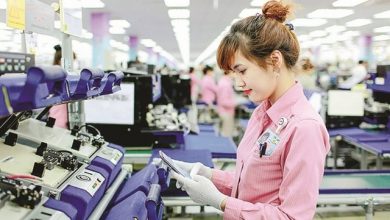 Dư địa lớn cho hàng hóa Việt Nam vào thị trường UAE Dư địa lớn cho hàng hóa Việt Nam vào thị trường UAE