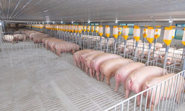 Công ty TNHH CPV Food Bình Phước hướng tới “Nhà bếp của thế giới - kitchen of the world Công ty TNHH CPV Food Bình Phước hướng tới “Nhà bếp của thế giới - kitchen of the world