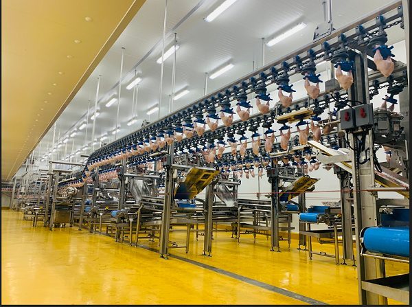 CÔNG TY CỔ PHẦN CHĂN NUÔI C.P. VIỆT NAM MANG TẦM NHÌN BỀN VỮNG ĐẾN VỚI CÁC EM HỌC SINH – SINH VIÊN CÔNG TY CỔ PHẦN CHĂN NUÔI C.P. VIỆT NAM MANG TẦM NHÌN BỀN VỮNG ĐẾN VỚI CÁC EM HỌC SINH – SINH VIÊN