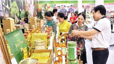 Sức bật mạnh mẽ của nông sản bản địa
