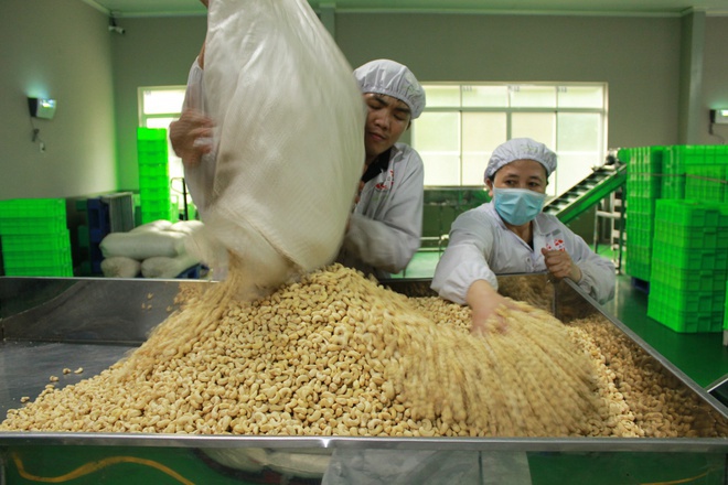 Doanh nghiệp cần biết “tự vệ” và thận trọng trước rủi ro xuất khẩu Doanh nghiệp cần biết “tự vệ” và thận trọng trước rủi ro xuất khẩu