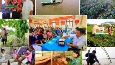 Những dấu ấn bảo đảm an sinh xã hội năm 2023