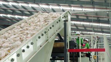 Khởi đầu cho ngành kinh tế tỷ USD Khởi đầu cho ngành kinh tế tỷ USD