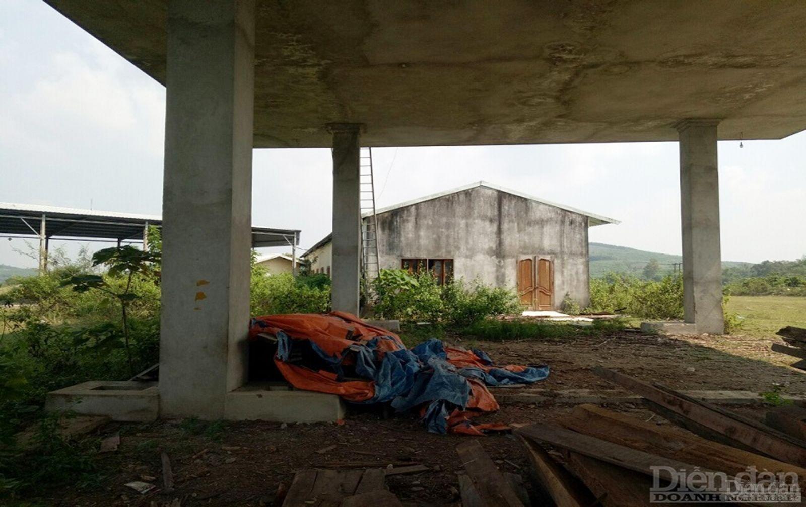 Nghệ An “trảm” loạt dự án “treo” dai dẳng suốt nhiều năm trời Nghệ An “trảm” loạt dự án “treo” dai dẳng suốt nhiều năm trời