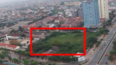 Đánh giá “sức khỏe” doanh nghiệp ở Nghệ An qua góc nhìn nợ thuế Đánh giá “sức khỏe” doanh nghiệp ở Nghệ An qua góc nhìn nợ thuế