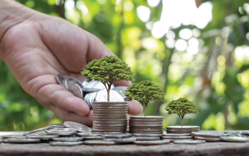 “Đòn bẩy” tín dụng xanh “Đòn bẩy” tín dụng xanh