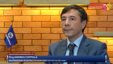 Bối cảnh nào chờ đợi nền kinh tế Việt Nam năm 2024? Bối cảnh nào chờ đợi nền kinh tế Việt Nam năm 2024?