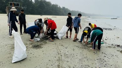 Du lịch Cô Tô nói không với rác thải nhựa