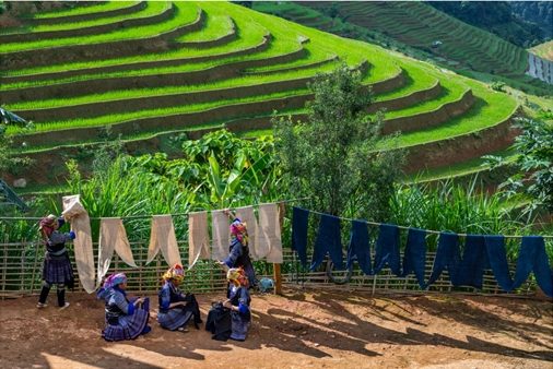 Những dấu ấn lịch sử và sự phát triển của nghệ thuật nhiếp ảnh Việt Nam