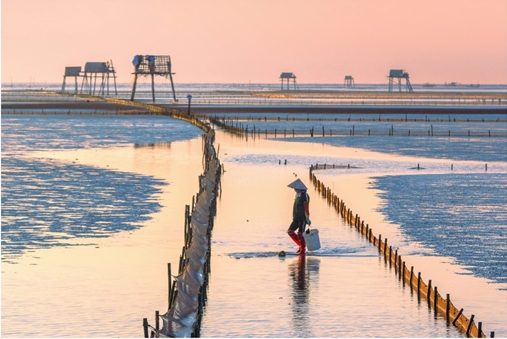 Những dấu ấn lịch sử và sự phát triển của nghệ thuật nhiếp ảnh Việt Nam