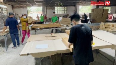 Cơ hội cho doanh nghiệp ngành gỗ, dệt may