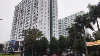 Vụ doanh nghiệp bị “trát” nộp thuế ở Nghệ An: “Trống đánh xuôi, kèn thổi ngược”?