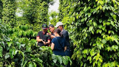 Thúc đẩy doanh nghiệp FDI trong chiến lược tăng trưởng xanh Thúc đẩy doanh nghiệp FDI trong chiến lược tăng trưởng xanh