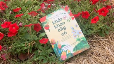 KHÁT KHAO CÂY CỎ KHÁT KHAO CÂY CỎ