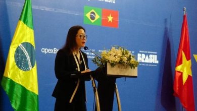 VCCI cam kết hỗ trợ doanh nghiệp Brazil mở rộng đầu tư tại Việt Nam