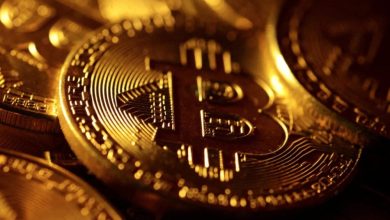 Bitcoin có thể tăng giá mạnh trong năm bầu cử của Hoa Kỳ?