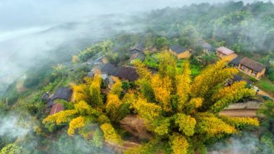 Phát động Giải thưởng Nhiếp ảnh Heritage - Hành trình Di sản 2024 Phát động Giải thưởng Nhiếp ảnh Heritage - Hành trình Di sản 2024