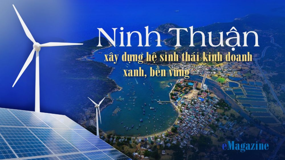 Ninh Thuận xây dựng hệ sinh thái kinh doanh xanh, bền vững Ninh Thuận xây dựng hệ sinh thái kinh doanh xanh, bền vững