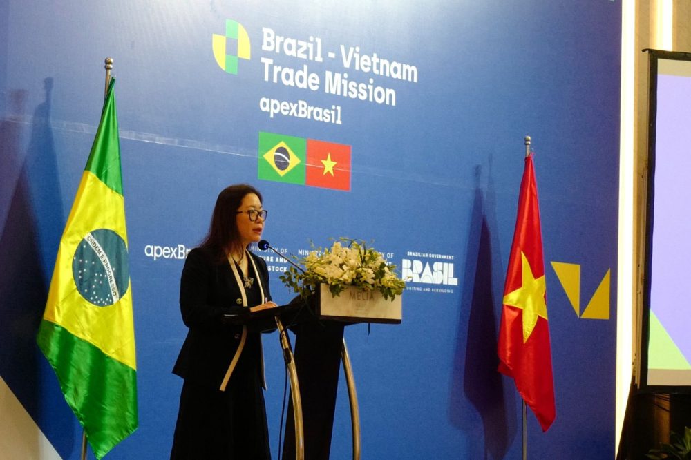 VCCI cam kết hỗ trợ doanh nghiệp Brazil mở rộng đầu tư tại Việt Nam VCCI cam kết hỗ trợ doanh nghiệp Brazil mở rộng đầu tư tại Việt Nam