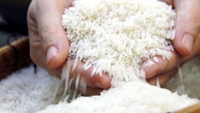 Gạo Việt ở đâu trên “bản đồ lương thực” thế giới? Gạo Việt ở đâu trên “bản đồ lương thực” thế giới?