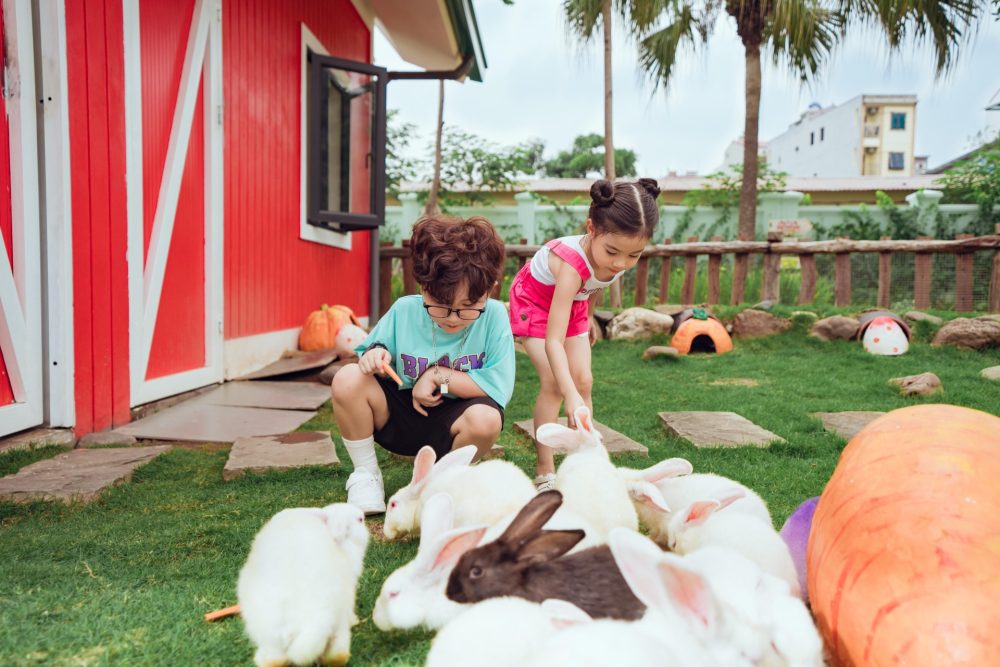 Hula Summer tại Công viên Thiên đường Bảo Sơn dịp nghỉ lễ 30/4 – 1/5