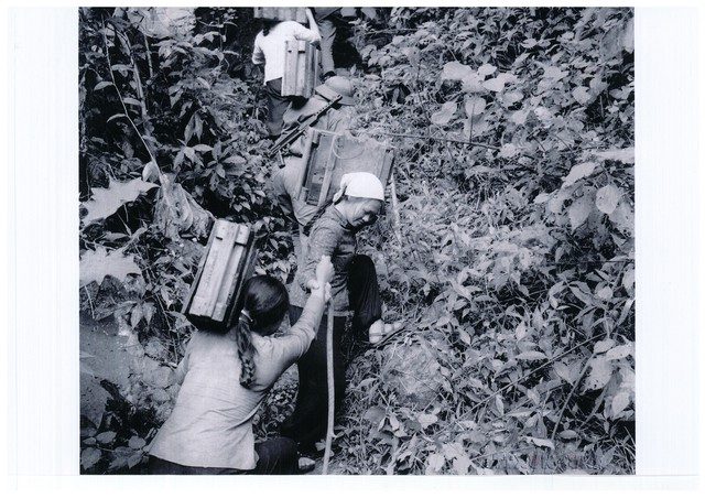 100 hình ảnh về 100 hình ảnh về