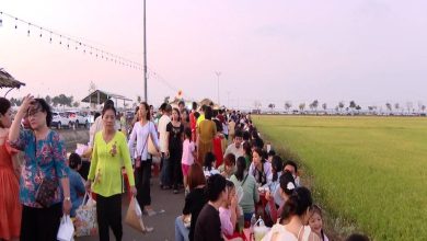 Bà Rịa - Vũng Tàu: Đa dạng các sản phẩm dịch vụ du lịch đón lễ 30/4 Bà Rịa - Vũng Tàu: Đa dạng các sản phẩm dịch vụ du lịch đón lễ 30/4