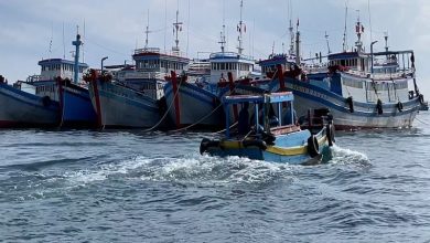 Chống khai thác IUU: Vì sự phát triển ngành thuỷ sản ổn định và bền vững Chống khai thác IUU: Vì sự phát triển ngành thuỷ sản ổn định và bền vững