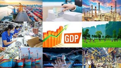 Thủ tướng chỉ thị các nhiệm vụ, giải pháp trọng tâm thúc đẩy phát triển kinh tế - xã hội Thủ tướng chỉ thị các nhiệm vụ, giải pháp trọng tâm thúc đẩy phát triển kinh tế - xã hội