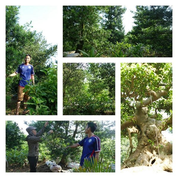 Xã Bách Thuận – Vũ Thư, Thái Bình vươn mình phát triển mô hình làng du lịch sinh thái cộng đồng Xã Bách Thuận – Vũ Thư, Thái Bình vươn mình phát triển mô hình làng du lịch sinh thái cộng đồng