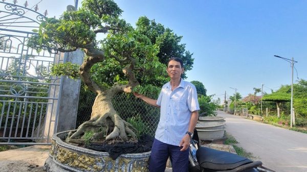 Xã Bách Thuận – Vũ Thư, Thái Bình vươn mình phát triển mô hình làng du lịch sinh thái cộng đồng Xã Bách Thuận – Vũ Thư, Thái Bình vươn mình phát triển mô hình làng du lịch sinh thái cộng đồng