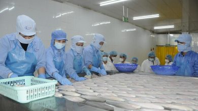 Xuất khẩu tăng trưởng, doanh nghiệp ngành thủy sản khởi sắc Xuất khẩu tăng trưởng, doanh nghiệp ngành thủy sản khởi sắc