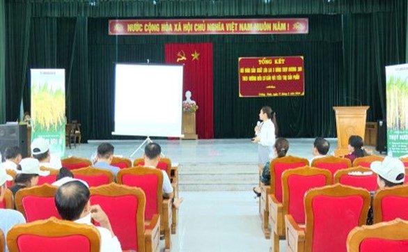 Lan tỏa mô hình sản xuất lúa gạo theo hướng hữu cơ, nâng cao giá trị kinh tế và phát triển bền vững Lan tỏa mô hình sản xuất lúa gạo theo hướng hữu cơ, nâng cao giá trị kinh tế và phát triển bền vững