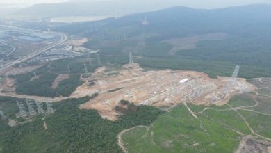 Một doanh nghiệp bị phạt hành chính 325 triệu đồng và chi trả trồng lại rừng gần 1 tỷ đồng Một doanh nghiệp bị phạt hành chính 325 triệu đồng và chi trả trồng lại rừng gần 1 tỷ đồng